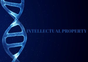 Analysing WIPO’s Landmark Treaty on Intellectual Property, Genetic Resources, and Associated Traditional Knowledge