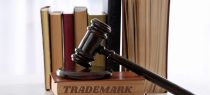 Role of Trial Courts in the Cases of Rectification Petitions under Section 124 of Trade Marks Act, 1999